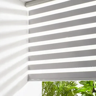 Window+Blinds