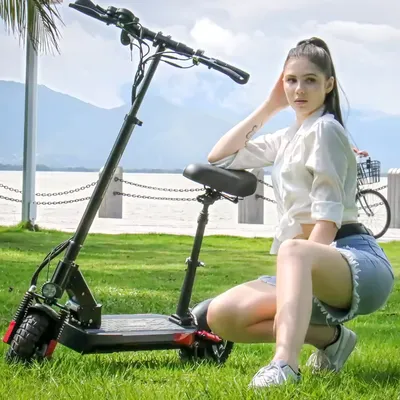 Electric Scooter Adults with Seat, 800W Power Motor, 34Miles Range, 31MPH Max Speed, 10" Off-Road