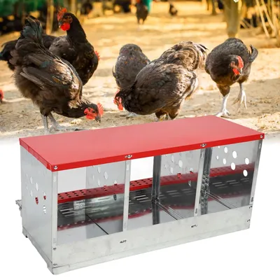 Chicken Nesting Box 3 Compartment Well Ventilated Sturdy Hen Laying Box for Egg Collection