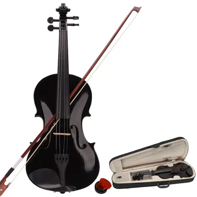 Violin Set for Adults - Beginners Violins Kit For Student with Hard Case, Rosin, Bows,Starter