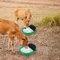 Animal Waterer Bowl For Goat Automatic Feeder Water Bowl For Goat Pet Supplies Animal Cow Drinking