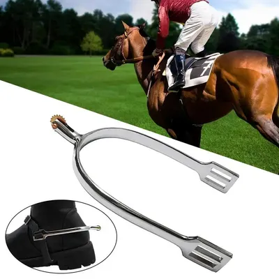 Equestrian+Clothing+Equipment