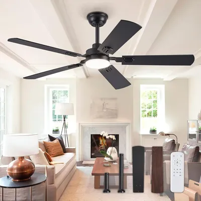 Ceiling+Fans