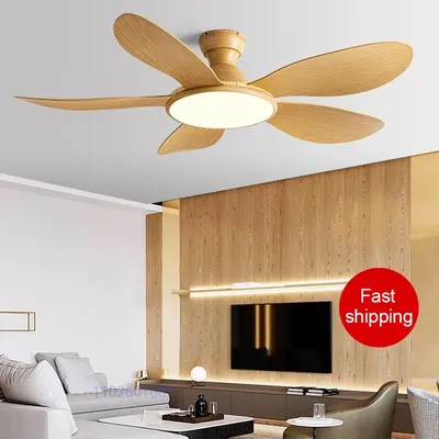 Ceiling+Fans