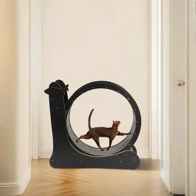 Cat Exercise Wheel, Large Cat Treadmill with Carpeted Runway, Kitty Cat Sport Toy, Fitness Weight