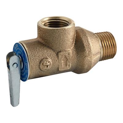 Watts 0121443 LF53L-150 1/2" NPT x FNPT Poppet Type Pressure Relief Valve with Test Lever