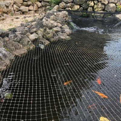 Teichabdecknetz 2x3m Teichnetz Teichschutz Fischreiher Laubschutz Abdecknetz Image