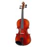 Roth & Junius RJVE Antiqued Violin S B-Stock