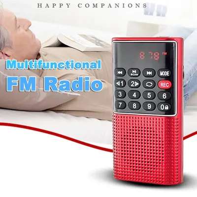 L328 UKW-Radio, multifunktional, wiederaufladbar, tragbar, USB, TF, MP3, Handlautsprecher für Image
