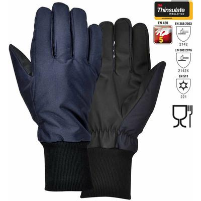 Cofra - Winter Arbeitshandschuhe bis -30 °c 10 (xl) - Schwarz