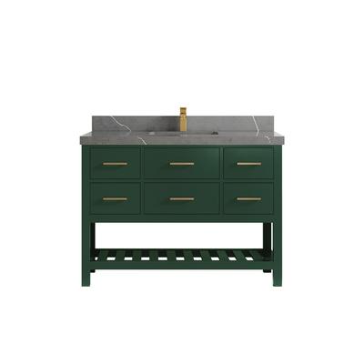 Willow Collections 48 in. W x 22 in. D Parker Single Sink Bathroom Vanity with Countertop