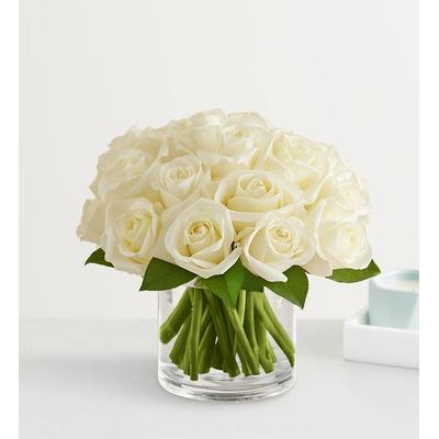 1-800-Flowers Flower Delivery Contemporary White Roses Medium