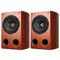 Altoparlanti da scaffale coassiali da 200 W da 10 pollici Febbre Hifi Sistema Home Theatre Musica