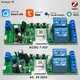 Zigbee Smart Home Relè 1/2CH Modulo 85-250V 220V Relè AC DC 12V 24V 7-32V Funziona con Alexa Google Assistant Smart Light Switch