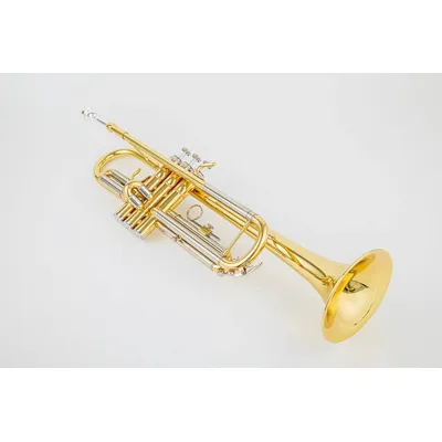 JINYIN JYTR-E108 B-flat Trumpet for Beginners - Exceptional Sound, Jazz Ready, White Copper Beauty -