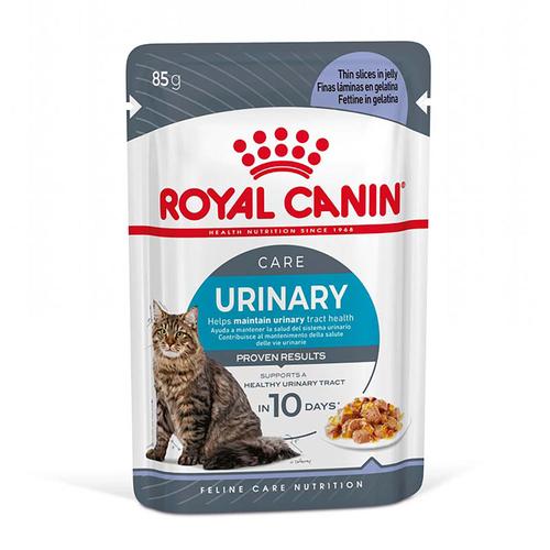 Sparpaket: 24x85g Royal Canin FCN Urinary Care in Gelee Katzenfutter nass