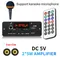 DC 5V lettore MP3 10W amplificatore Bluetooth MP3 Decoder Board lettore musicale per auto Radio FM