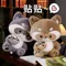 Kawwaii Love Raccoon Bambole di peluche, Giocattoli di peluche da coccodrillo, Peluche Procione,