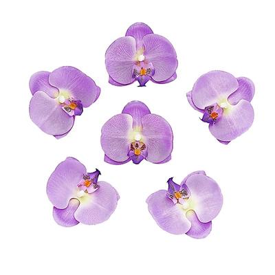 20-Pieces 4" Silk Orchid Flower Heads