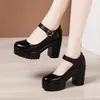 6 8 10 cm Kleine Größe 32-43 Flacher dicker Boden Echtlederschuhe Plateaupumps 2025 Block High Heels Schuhe Büromodell