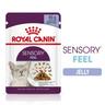 24x85g Jelly Sensory Feel Royal Canin Wet Cat Food