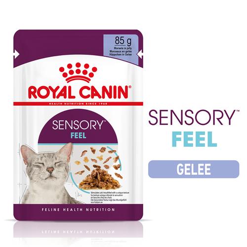 Sparpaket: 24x85g Royal Canin Sensory Feel in Jelly Katzenfutter nass