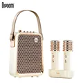 Divoom SongBird-HQ Altoparlante Bluetooth portatile Home Home Ktv Sound Set Home Karaoke Altoparlanti Microfono Karaoke Microfono