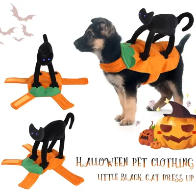 Pet+Costumes