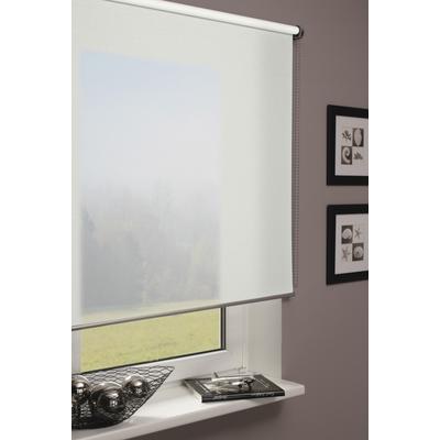 Rollo GARDINIA "Seitenzugrollo Lichtdurchlässig", weiß, B:140cm H:160cm, Polyester, Rollos, Schrauben, Decken-, Wand- oder Nischenmontage Image
