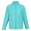 Regatta Great Outdoors Kinder Fleecejacke King II (Türkis)