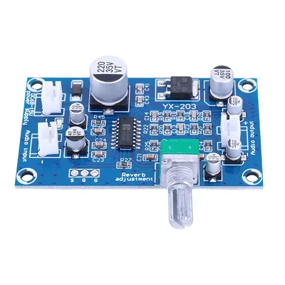 Pt2399 mikrofon verstärker modul DC6-15V m65831 mikrofon reverb plate dc einzelne strom versorgung vorverstärker reverbe rator Image