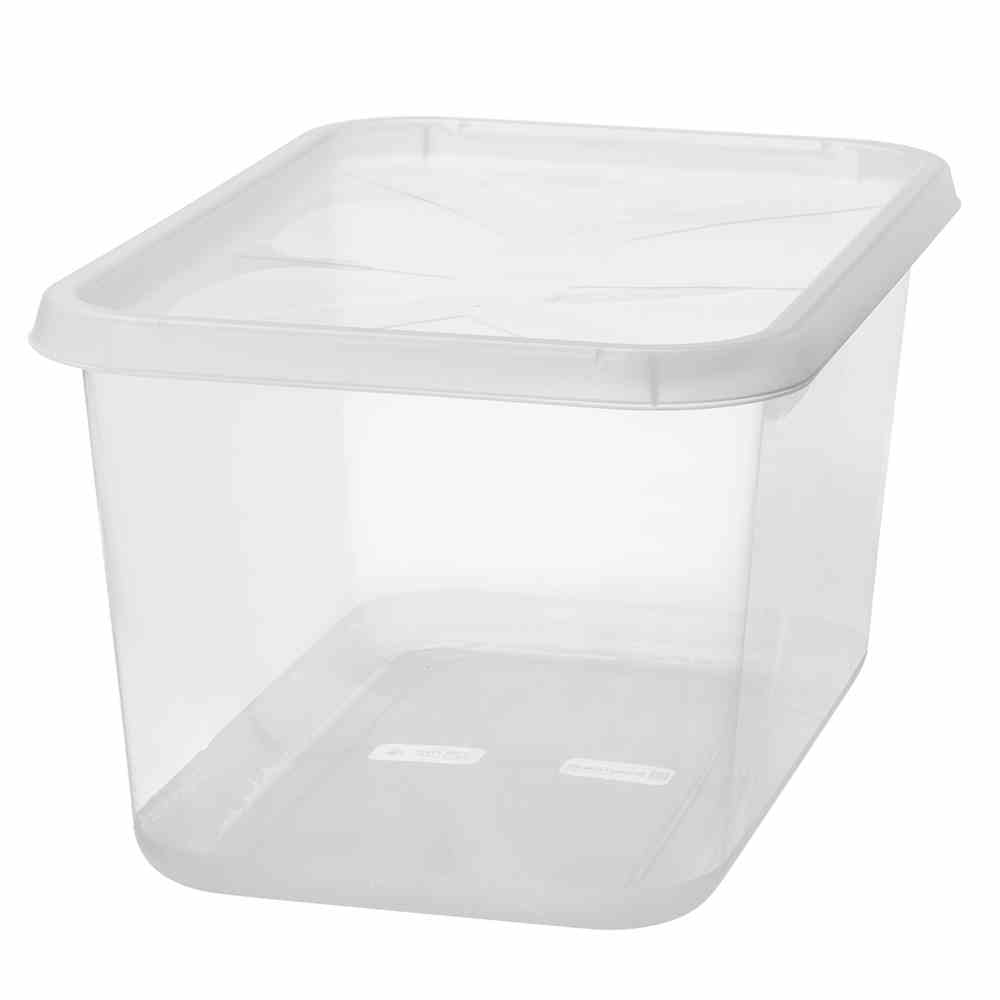 ORTHEX BasicBox L 44 l transparent Image