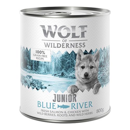 Wolf of Wilderness JUNIOR 6/24 x 800 g - 6 x 800 g Blue River - Huhn & Lachs