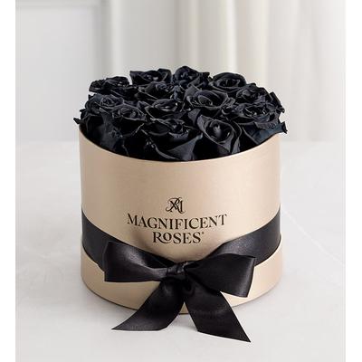 1-800-Flowers Flower Delivery Magnificent Roses Preserved Black Roses