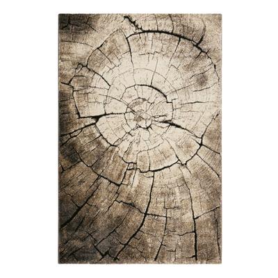 Teppich WECON HOME "Wild Oak" Gr. 3, braun, B:120cm H:13mm L:170cm, Kunstfaser, Teppiche, Holz Optik, Wohnzimmer Image