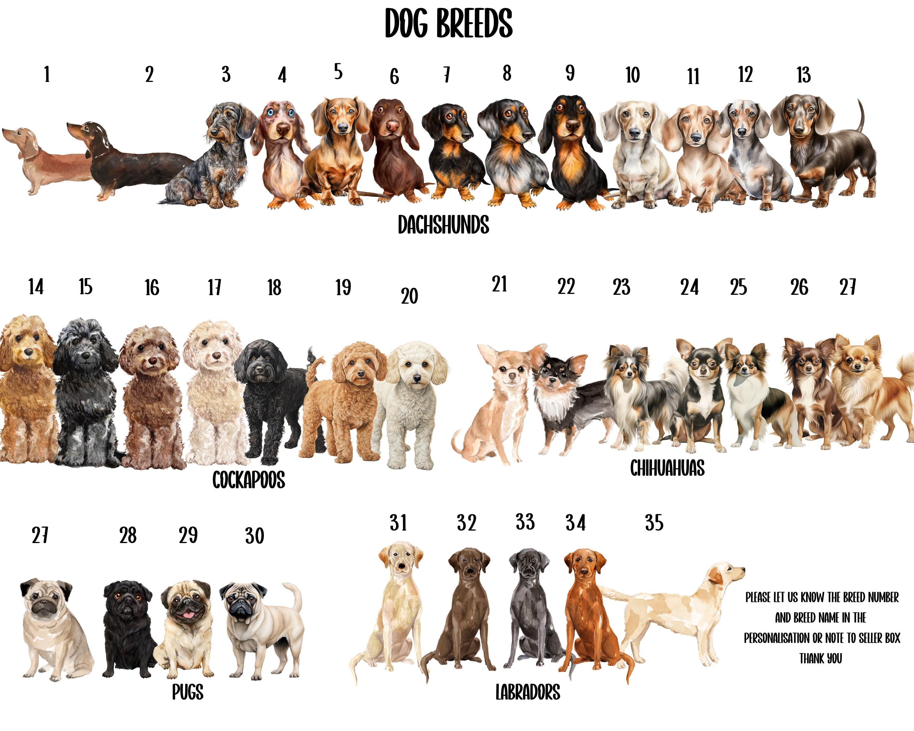 Stampe multiple di cani e gatti, stampe personalizzate per cani, stampe per animali domestici, stampe di cani e gatti, scelta di razze
