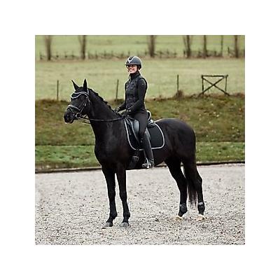 Horze Adepto Fetlock Horse Boots, 2 count, Black, Horse