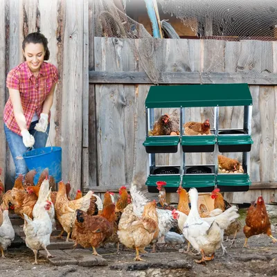 Chicken Nesting Box 6 Hole 2 Layer Hen Nest Boxes Roll Away Eggs Laying Boxes Cleanable Pull Out Hen