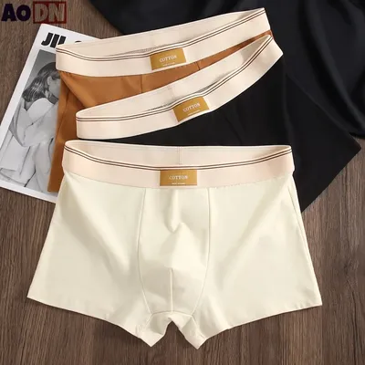 1/3 Teile/satz Solide Farben Männer Boxer Shorts Atmungsaktive Baumwolle männer Unterwäsche Image