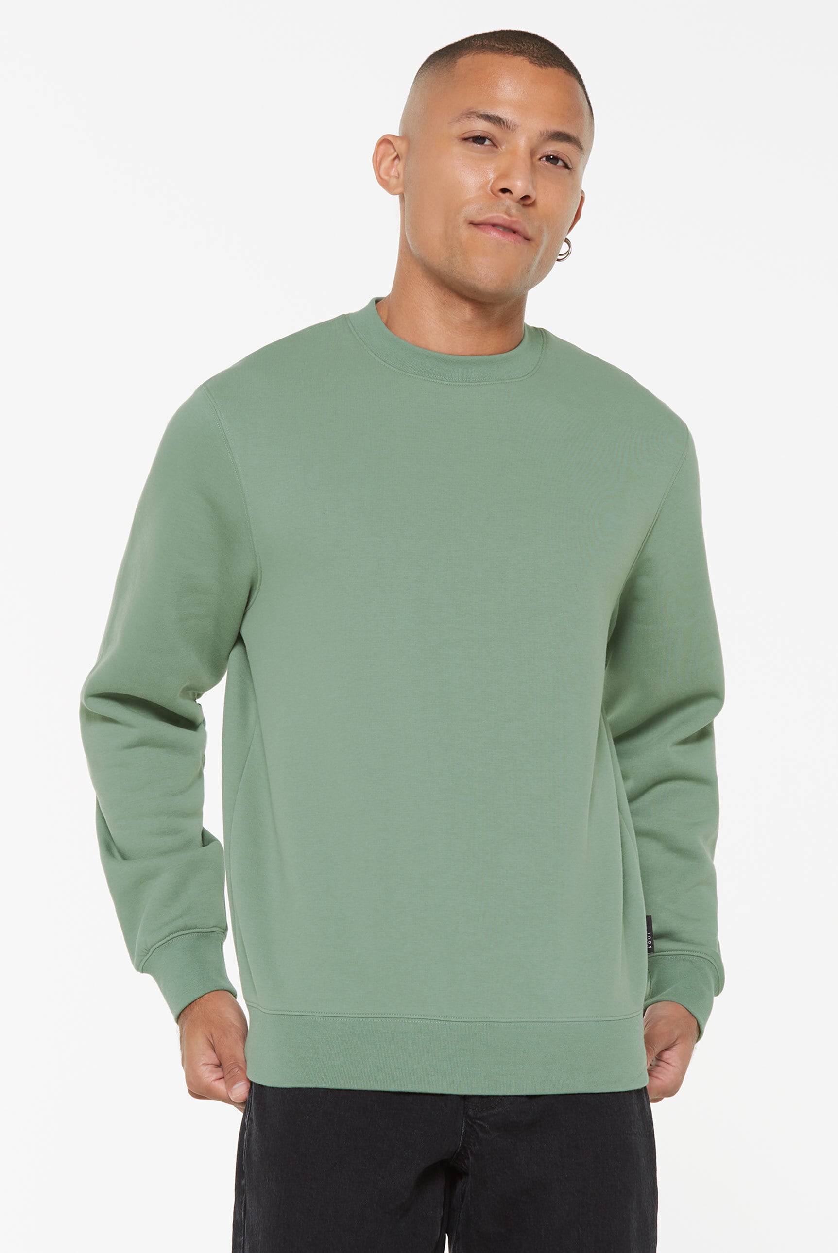 Sweater HARLEM SOUL, Herren, Gr. M, grün (jade grün), Material: 65% Baumwolle, 35% Polyester, unifarben, regular fit, Rundhals, eingesetzt Rippbündchen, Sweatshirts Sweater, mit weicher Innenseite