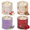 TEMU 30oz Scented Candle Set For Women - Rose, Sandalwood, Cinnamon, & Lavender Fragrances In Metal Jar - Perfect Christmas, Valentines Day & Birthday Gift Seasonal Holiday Decorations