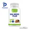 Sea Moss Plus Capsules - Supports Thyroid Health Anti-aging Antioxidant Improve Immunity - 120