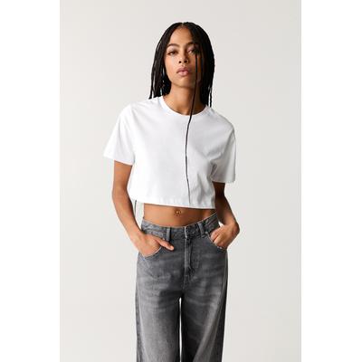 Basic Cropped T-Shirt