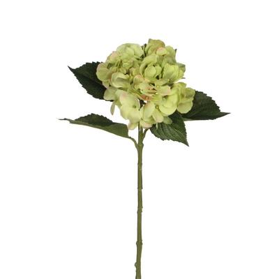 Mica Decorations - Mica künstliche Hortensie grün, 51 cm Kunstpflanzen Image