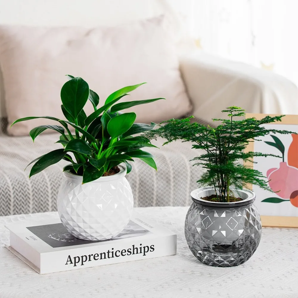 Mini selbst bewässernde Blumentopf Aquarium transparente Kunststoff Blumentöpfe selbst bewässernde Pflanzer Topf Vase für die Heim dekoration Image