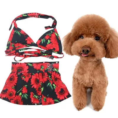 1 Satz Haustier Badeanzug weichen bequemen Schnür-Design auffälligen Blumen druck Hund Katze Sommer Image
