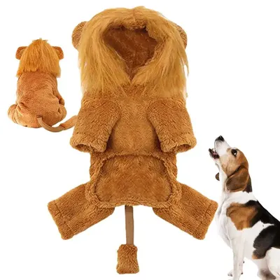 Pet+Costumes