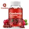 Cranberry - Support Urinary Tract Health, Bladder Health, Powerful Antioxidant - 60 Capsules
