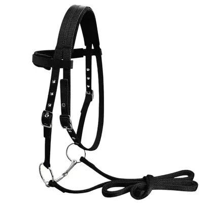 Horse Halter And Lead Rope Throat Latch For Horse Bridle With 3 Buckles Horse Head Headstall Lead