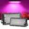 Phyinformation-Lampe LED pour Culture Intérieure, Lampe pour Plantes, Lampe de Croissance, Lampe UV,